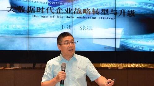 张斌背景,从基层奋斗者到行业领军者的蜕变之路