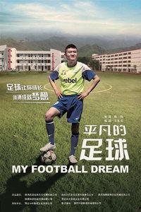 平凡的足球花絮,足球花絮里的感动与欢乐